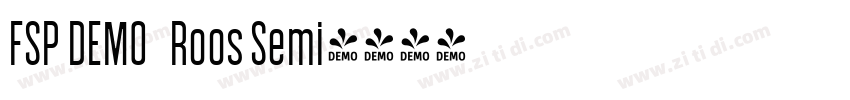 FSP DEMO   Roos Semi字体转换